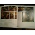 1001  PAINTINGS  THE  LOUVRE  FROM  ANTIQUITY  TO  THE  NINETEENTH  CENTURY